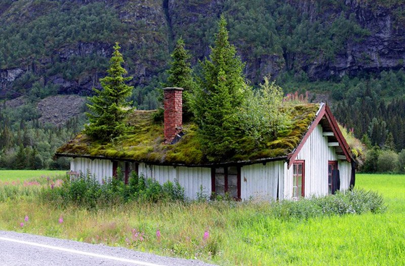 DesignWater1's tweet photo. A Norwegian green roof. Looks like it would be fun to decorate at Christmas, but I am not sure I could live with this all year round. https://t.co/mw9U3J9YAk