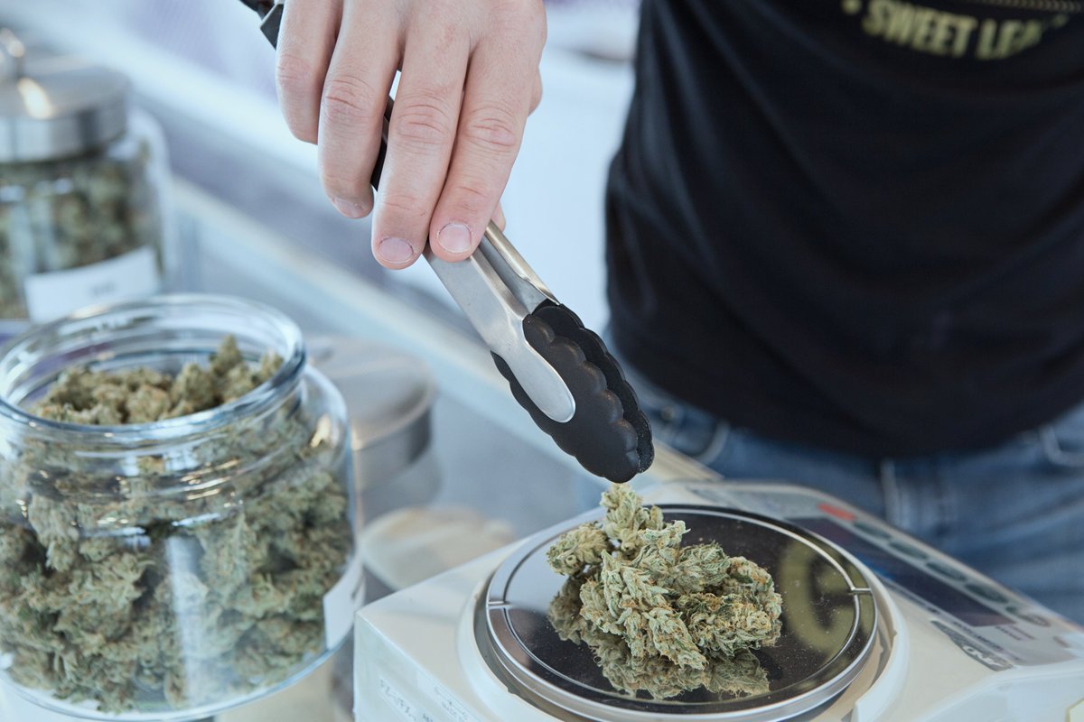 HillardHeintze's tweet photo. #Cannabisdispensary security is a major topic on state licensing applications. Learn what the top security risks are and how to address them in our latest @HillardHeintze  #securityriskmanagement blog: https://t.co/Whm6L18u8Y https://t.co/3Jm8bLOAAy