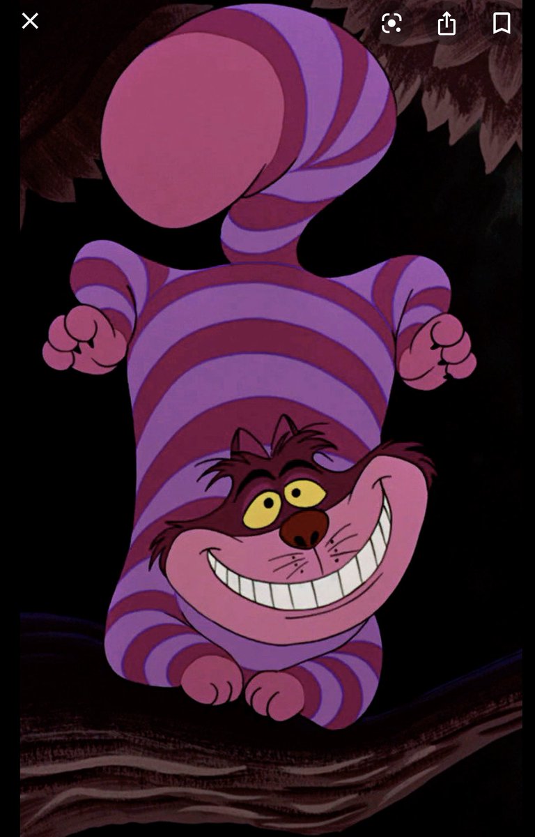 Wonders through wonderland and sings with flowers, and meets the Cheshire Cat