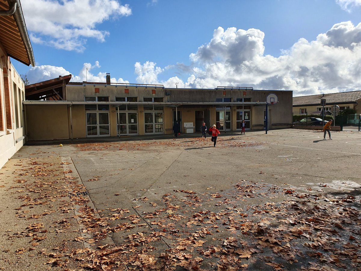 USEPgers's tweet photo. En pleine préparation de la rencontre #DisciplinesEnchainees du Vendredi 29 Novembre à Monferran-Savès !
#AnimAthlé #AnimCross #Generation2024
@USEPgers @CrusepO @usepnationale @SelinIngrid @sandrine_jobard @MBlugeon @EpsToulouse @LeGers32 @actoulouse @G24Toulouse @montegutPLM https://t.co/FkZxjKiZpN