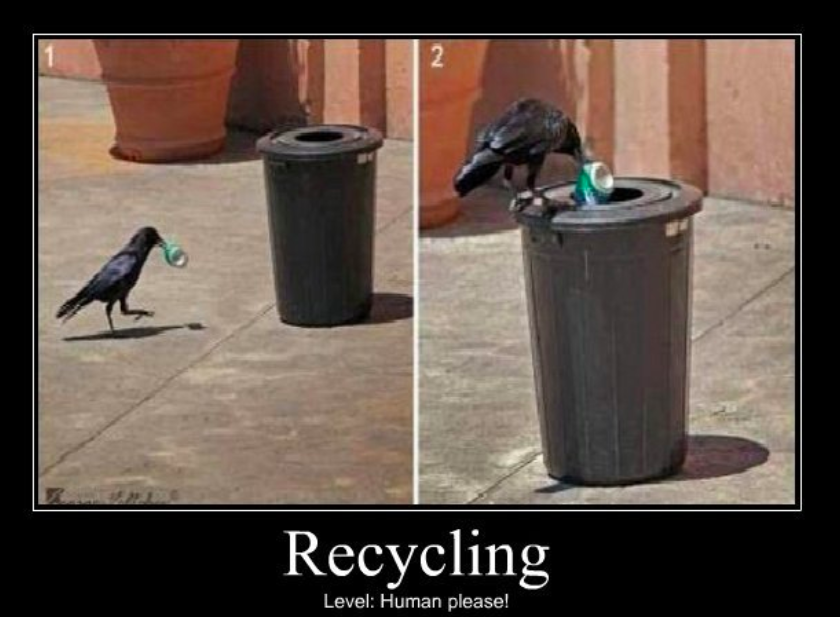 albertadepot's tweet photo. If this guy can do it, you can too! Be the #ChangeThatCounts! ♻️ #RecyclingGoals #Recycle #Recycling #AlbertaDepot #BottleDepot #Depot https://t.co/9hEgP4Xtjn