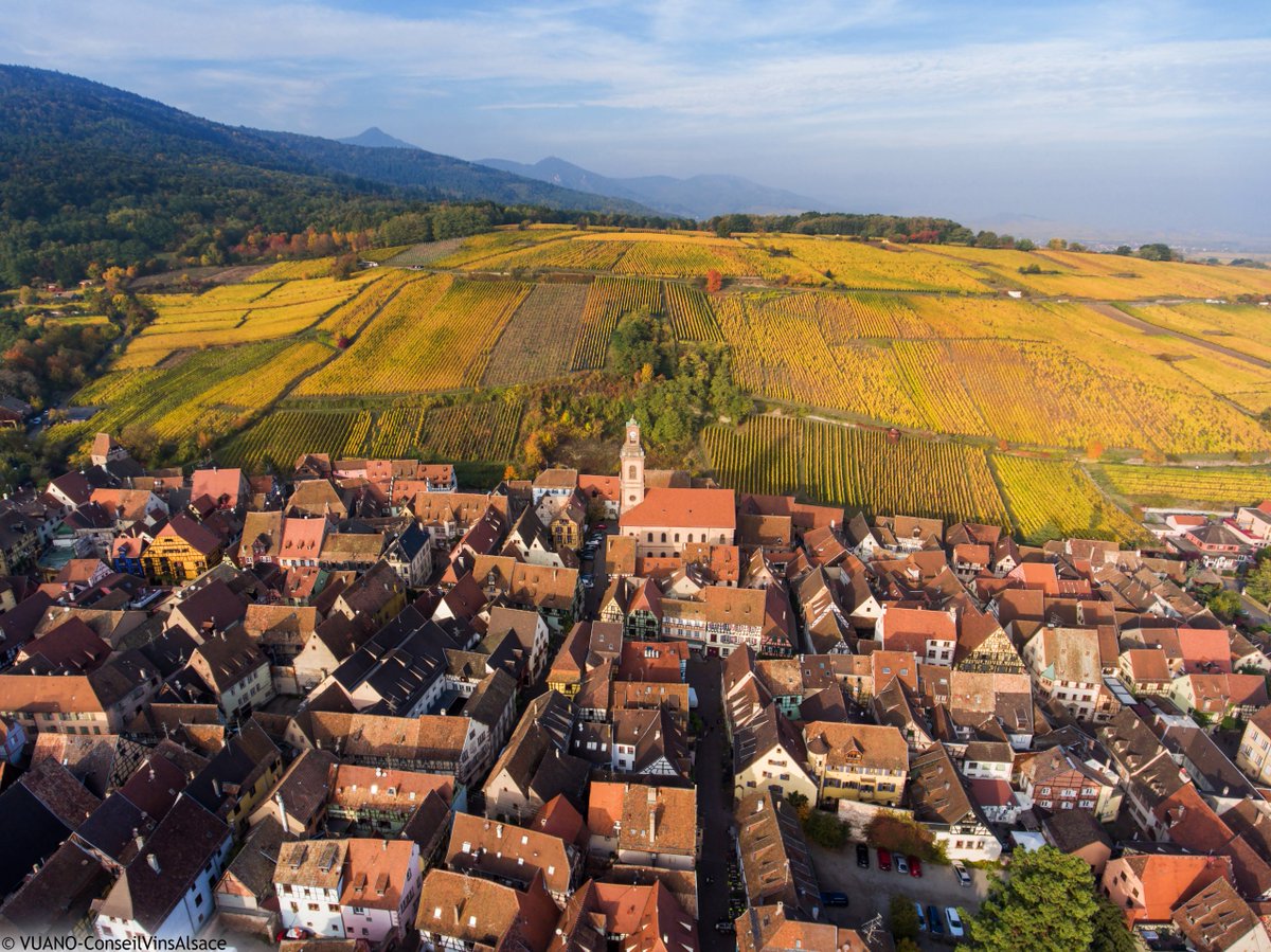 Entre Crêtes des Vosges et plaine d’Alsace, Riquewihr est une cité médiévale située au cœur du vignoble... et l'un des Plus Beaux Villages de France ! 😍🍁 bit.ly/Riquewihr-Alsa… #VisitAlsace #Alsace #DrinkAlsace