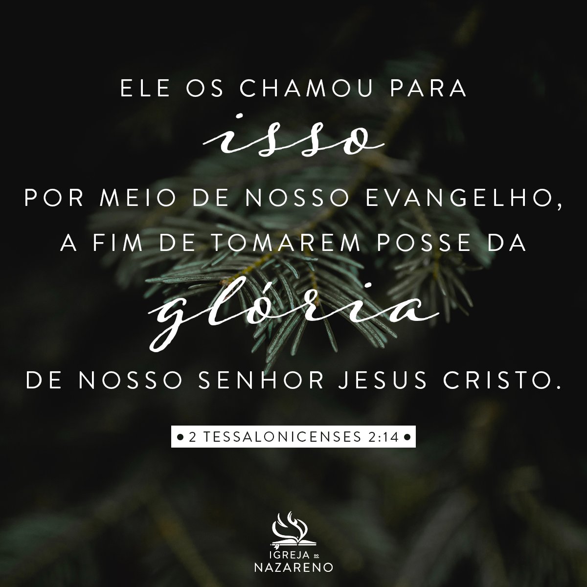 Nazarene's tweet photo. He called you to this through our gospel, that you might share in the glory of our Lord Jesus Christ. 2 Thessalonians 2:14 #Nazarene https://t.co/PGwRPqHk01