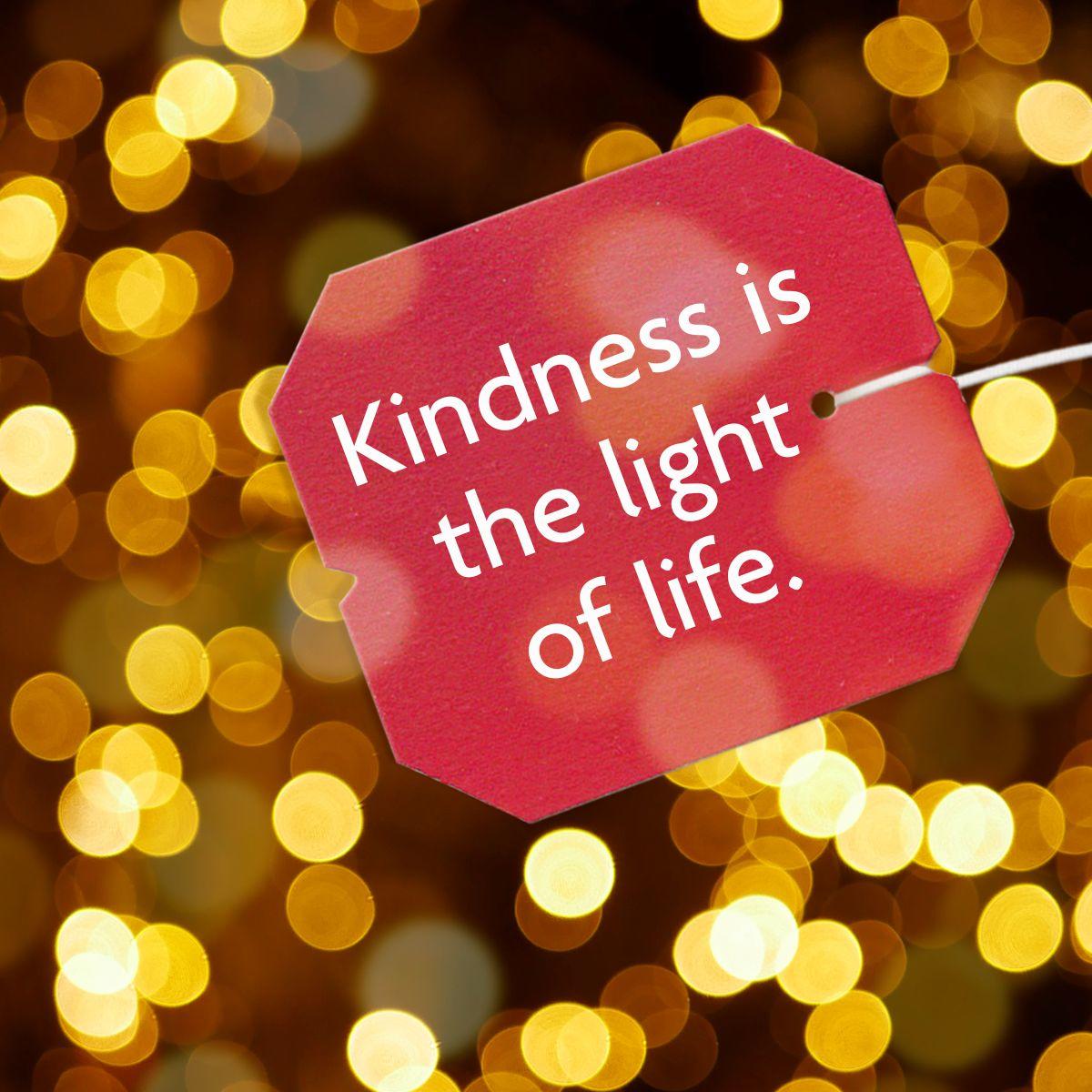 Kindness is the light of life! We hope you had a great #WorldKindnessDay
