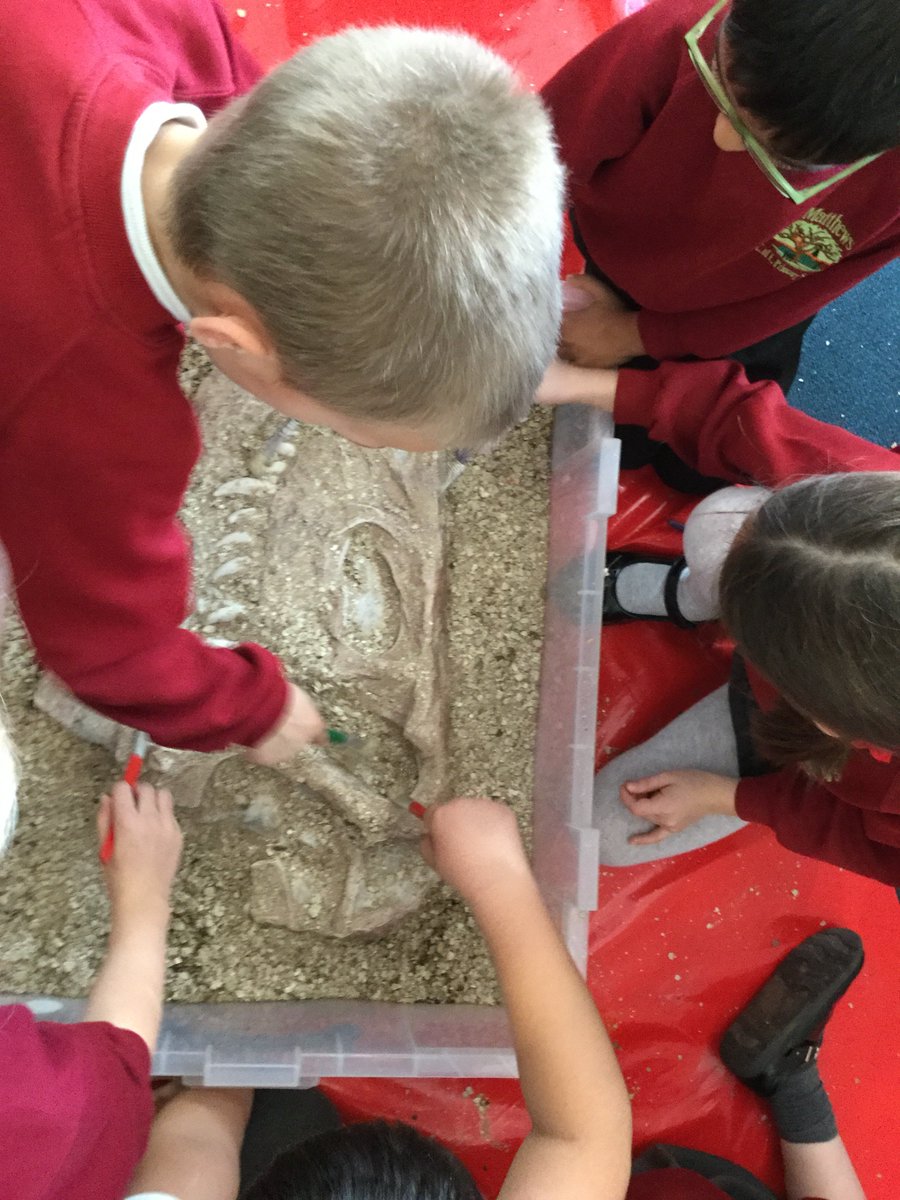 StMatthewsSurb's tweet image. Year 3 have had a fun morning learning about fossils. We became palaeontologists, excavating and identifying fossils #lifelongago #Thepebbleinmypocket