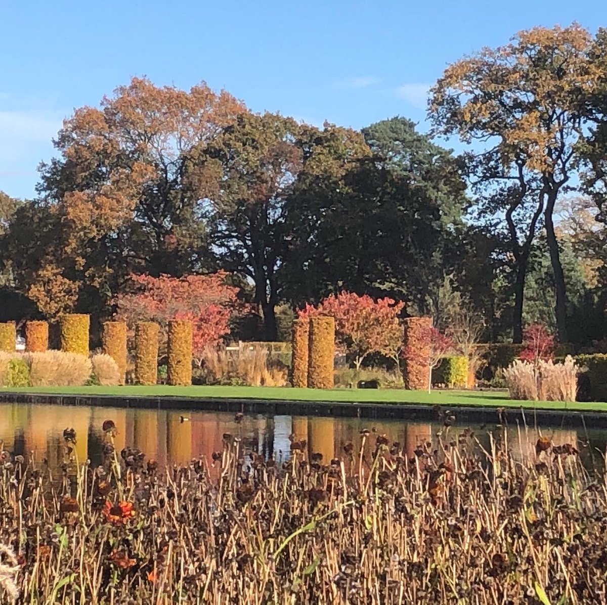 nettlespetals's tweet image. Strong column structure against soft miscanthus in gorgeous November sunshine .. plenty of inspiration as always @rhswisley #nettlesandpetalsdesign #winterstructure #gardensculpture #rhswisley