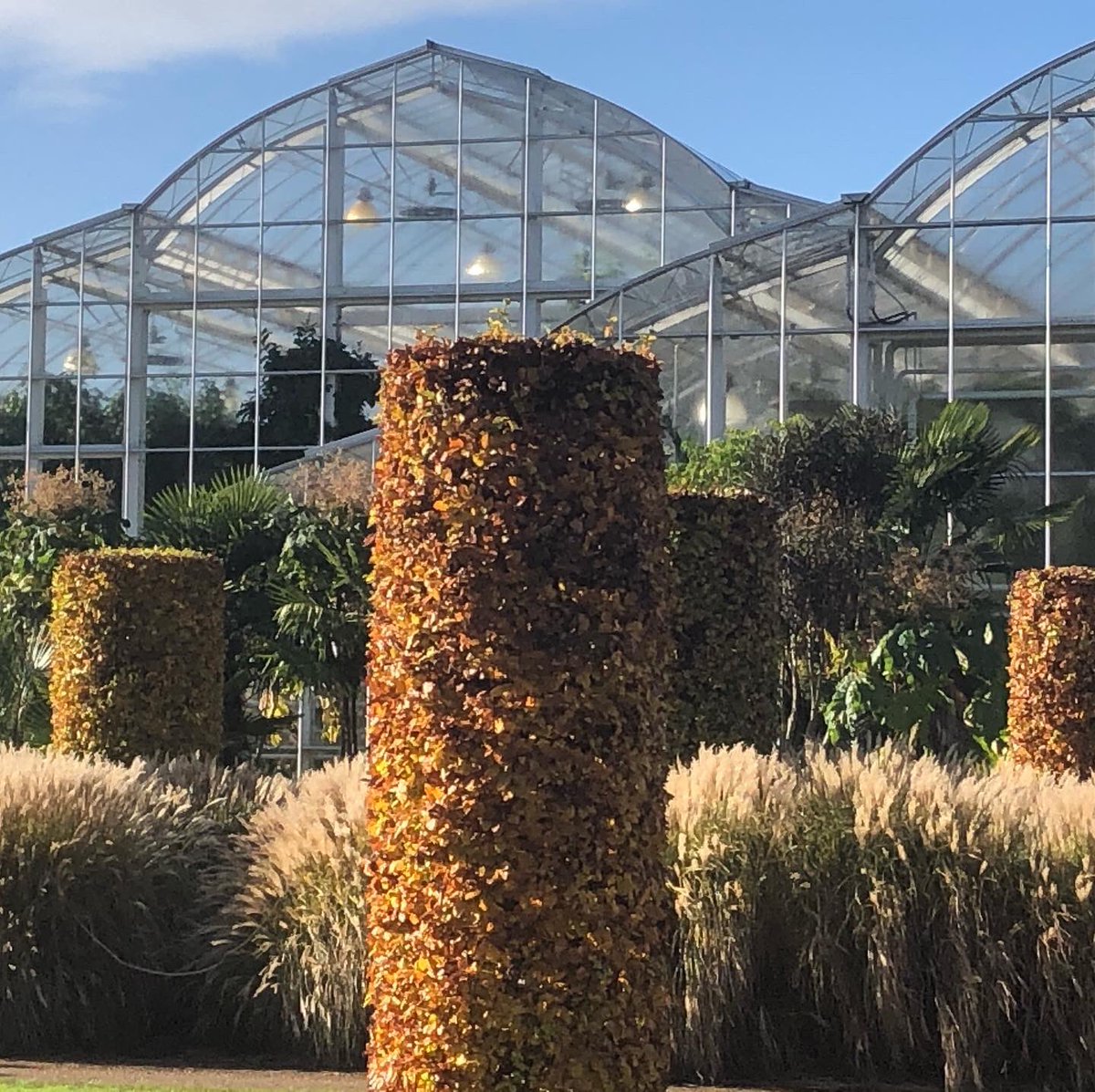 nettlespetals's tweet image. Strong column structure against soft miscanthus in gorgeous November sunshine .. plenty of inspiration as always @rhswisley #nettlesandpetalsdesign #winterstructure #gardensculpture #rhswisley