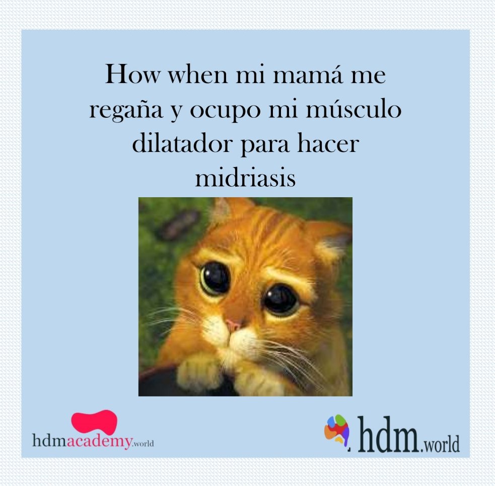 HWorldllc's tweet photo. #HDM #HDMWorld #HDMAcademy #medicina #medicine #HDMeme #risa #mamá #regaño #ojo #midriasis https://t.co/WG4ITKUBEE