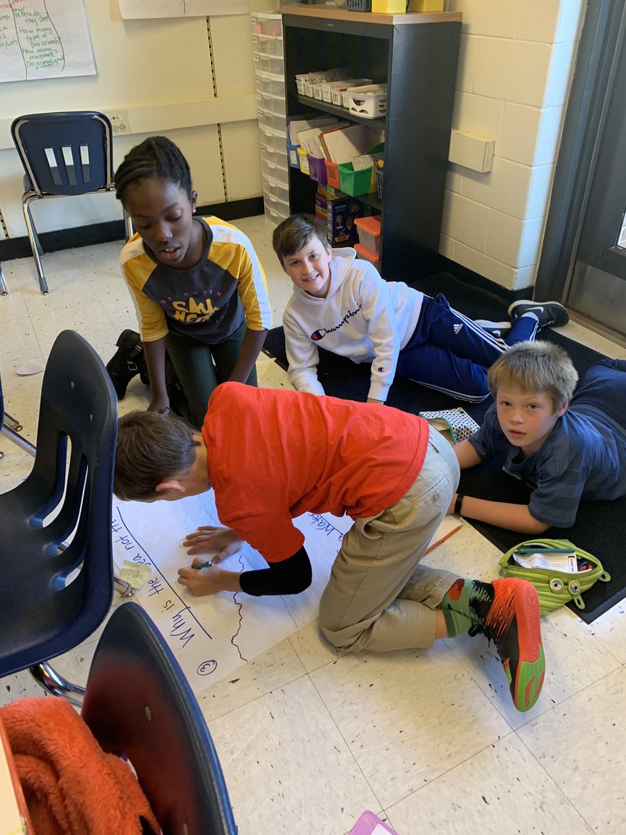 Mrs. McComb tweet media