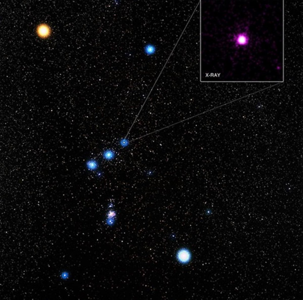 GVAVLtd's tweet photo. Everyone is always impressed whenever they see Orion’s belt.
Our verdict: 3 stars – a complete waist of space.
#GVFun #FridayFun #TerribleGVGags https://t.co/odxdAClT5b