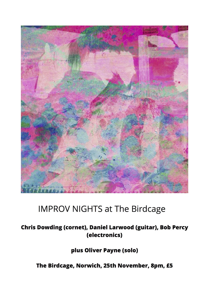 chrisjdowding's tweet photo. A night of improvised music coming up @Birdcagepub #Norwich on 25th November. Trio of cornet, acoustic guitar (Daniel Larwood) and modular synth (@BobPercy1), plus @OLPayne solo. Come along..! https://t.co/IAqEbjJaiq