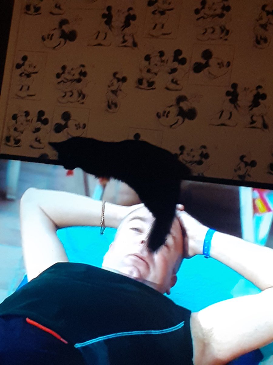 kelsdisney17's tweet photo. Watching #benidorm and minnie sleeps on the tv @DerrenLitten https://t.co/thzod9upxt