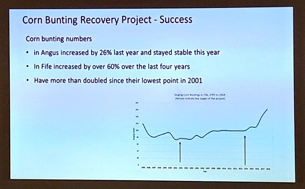 Emily Baird reviews the key @RSPB_NEScotland projects at the <a href="/SCRAOnline/">SCRA</a> Research Talks. Highlighting the amazing success of #cornbunting conservation efforts with land owners and #RSPBdophinwatch which has engaged 100s of children with marine wildlife