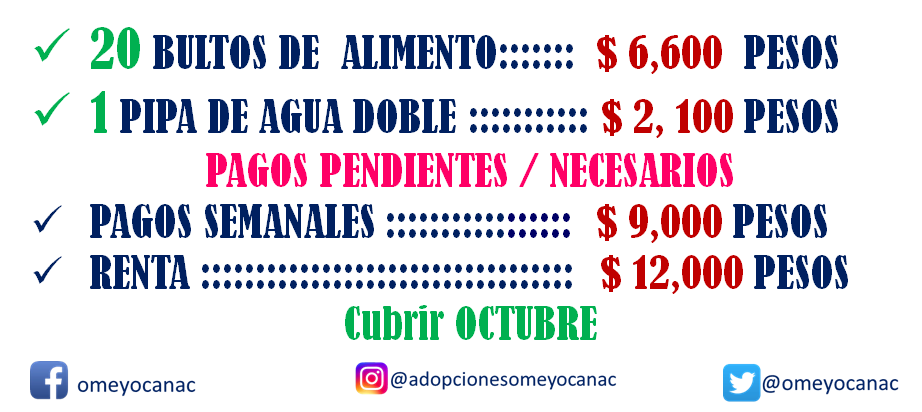OMEYOCANAC's tweet photo. U R G E N T E !!
Tristemente el día de ayer, no recibimos PATITAS AMIGAS, NO HUBO DIFUSIÓN, y su día NO SE LOGRO.
Como pueden ver chicos, los gastos de su refugio es mucho y pocos angelitos que se SUMAN PARA LOGRAR CONSERVAR SU REFUGIO. https://t.co/vVrNf8IuLJ