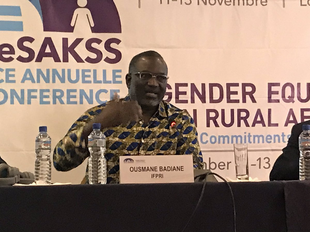 Conference Conclusions and way Forward session 2019 ReSAKSS annual conference in Lomé Togo. Dr Ousmane Badiane IFPRI Africa Director  #2019ReSAKSSconference #genderequality #gendereddata #ATOR2019