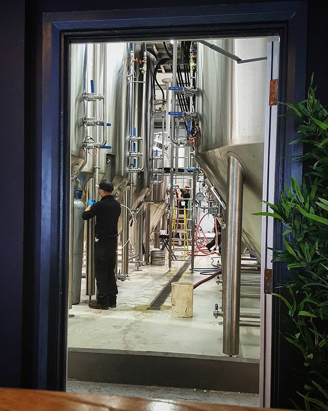 georgermason's tweet photo. Tanks and Tubes @signaturebrew .
.
.
.
.
#signaturebrew #beerandmusic #brewery #beer #craftbeer #brewing #photography #beerphotography #london #eastlondon #work https://t.co/vku8fwJAR1 https://t.co/hpfojJcUtT