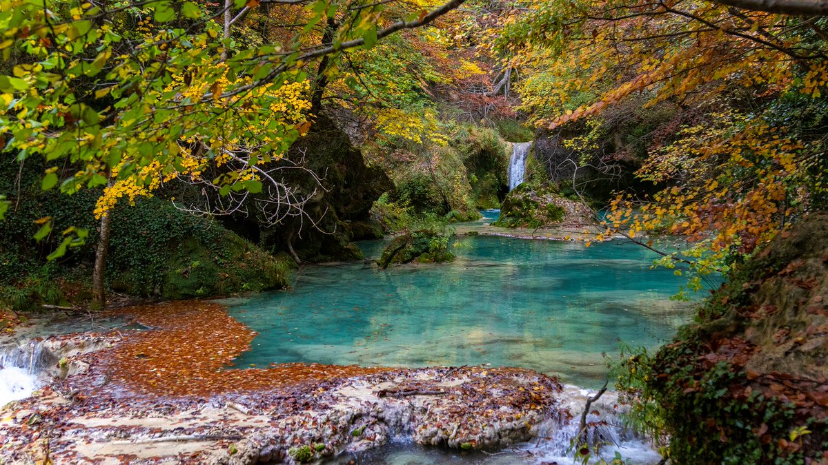 VisitNavarra's tweet photo. 😍 El nacedero del #Urederra es una maravilla natural que tenemos la suerte de tener en #Navarra.
🍂 Ven a disfrutar de la tranquilidad que respiran sus impresionantes aguas turquesas en otoño. Eso sí, ¡no te olvides de reservar la visita con antelación!
https://t.co/S7Mr5CGj0t https://t.co/1H7ecoFSm2