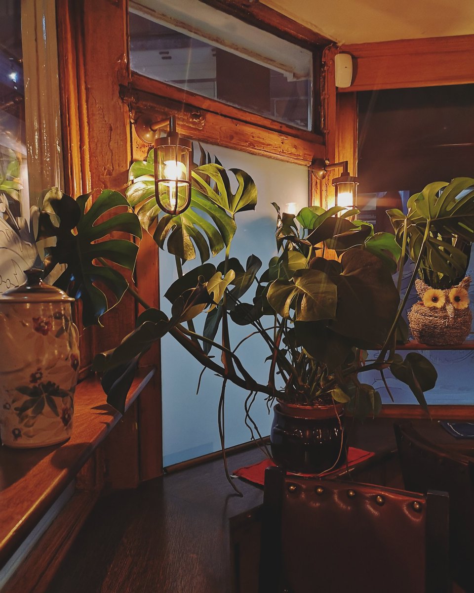 Royal Standard Croydon tweet media