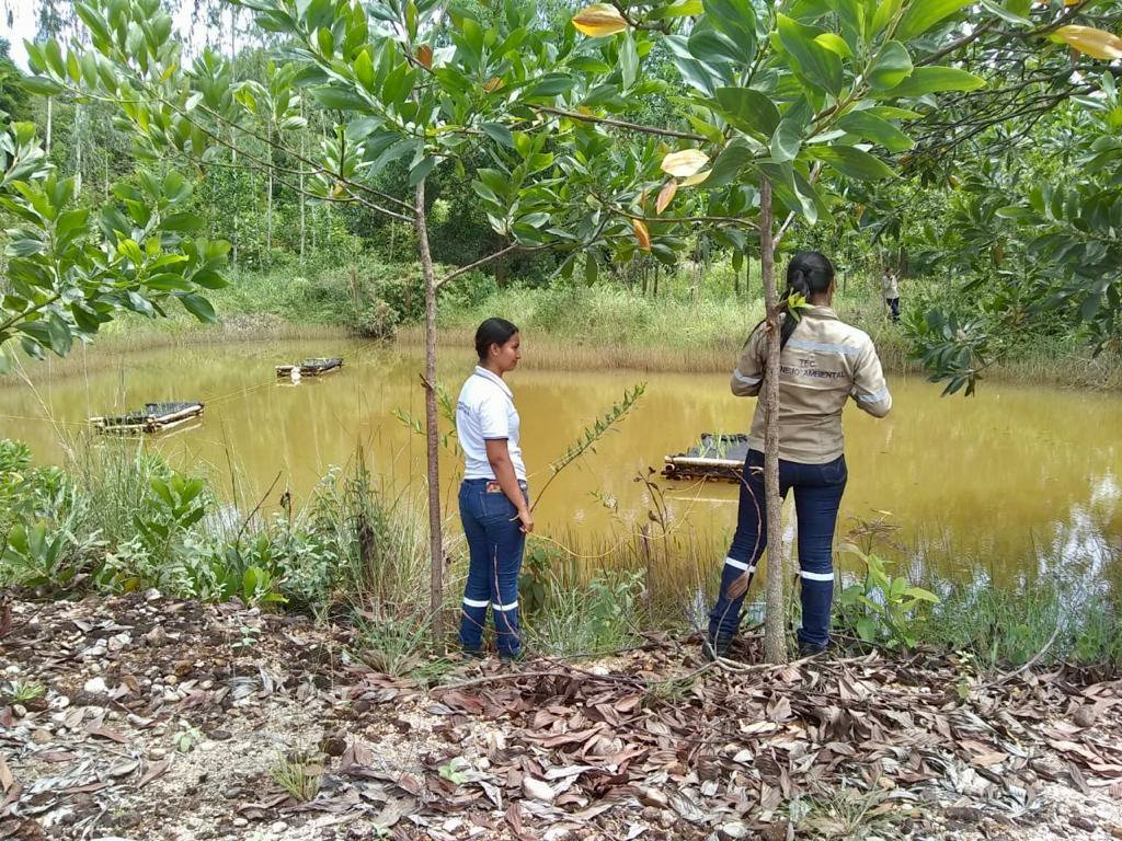 Farid_Figueroat's tweet photo. Proyecto sobre #Biorremediación #ODS formulado por el Centro de Formación Minero Ambiental de @SENA_Antioqua, fue seleccionado entre 561 postulaciones en la 2da Convocatoria de Iniciativas SIM organizada por @PnudColombia @DNP_Colombia @SwedeninCOL https://t.co/gYco6QjTYy