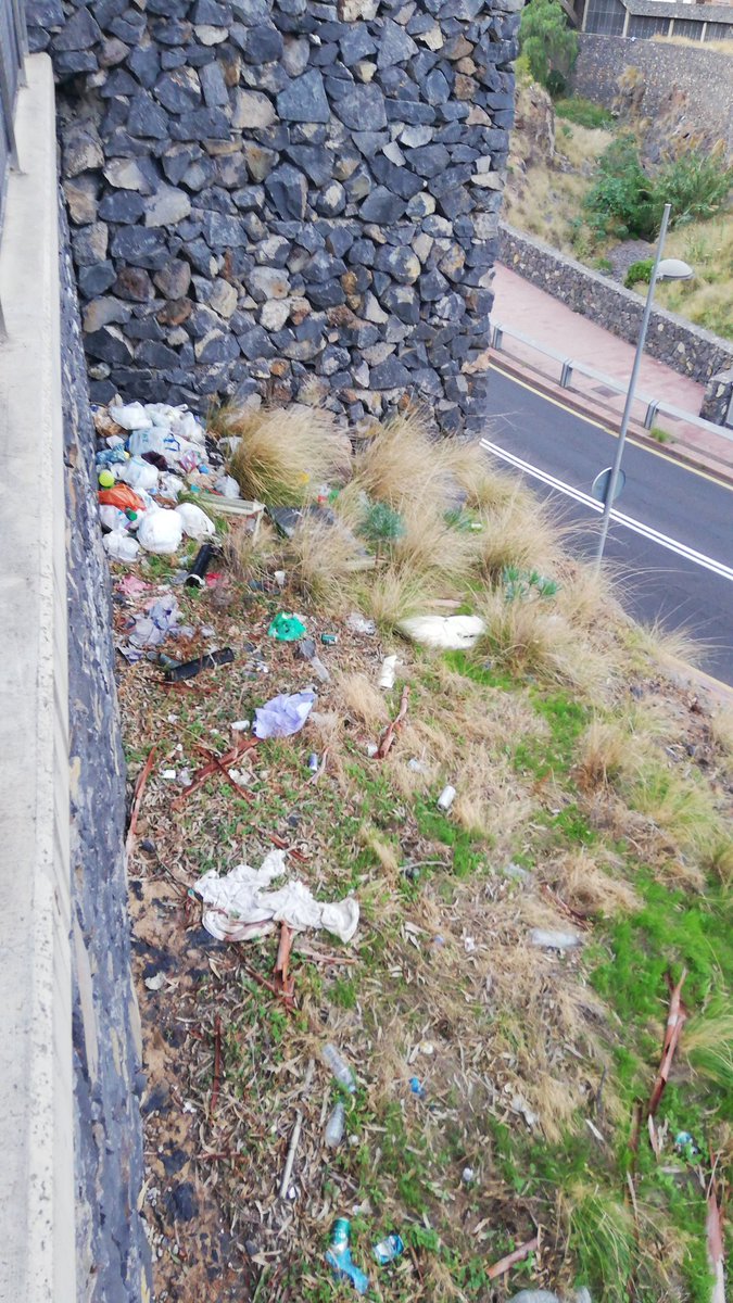 Enrique Padron tweet media