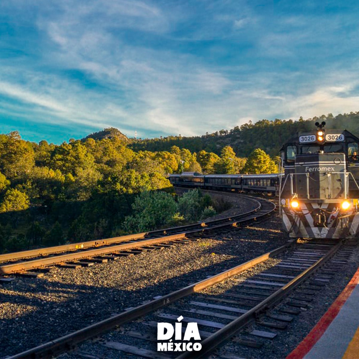 _diaMexico's tweet photo. El tren #Chihuahua- #Pacífico o el Chepe, es una línea ferroviaria que va desde Chihuahua hasta Los Mochis, #Sinaloa. Si bien no es el único #tren de #México, pero sí es el único de pasajeros sin intensión turístico. 
Recorre 673km atravesando las #BarrancasdelCobre. https://t.co/ZPvVPGaSbP