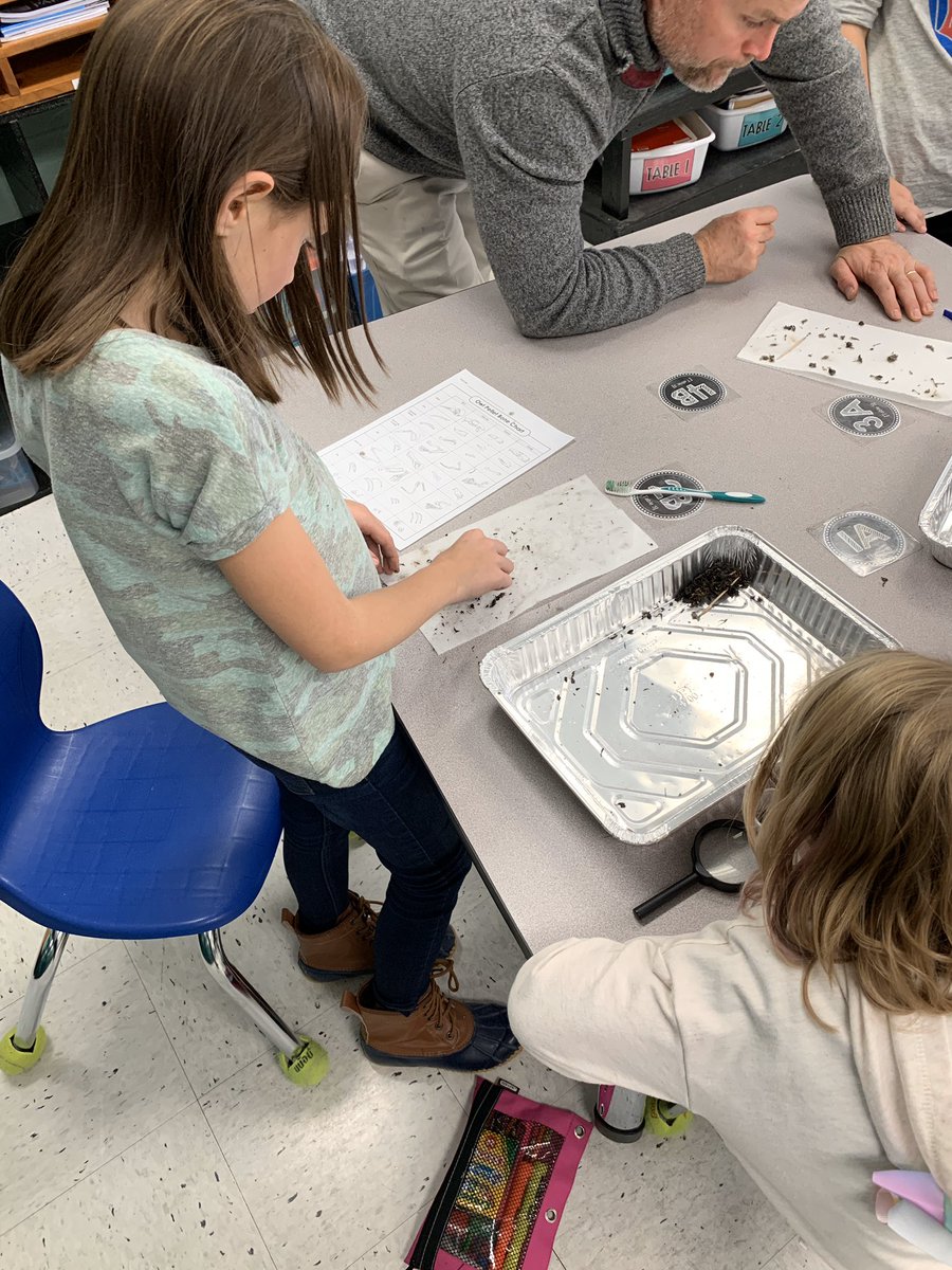 Science fun with Mrs. Godbey’s 3rd graders!  Dissecting owl pellets!!