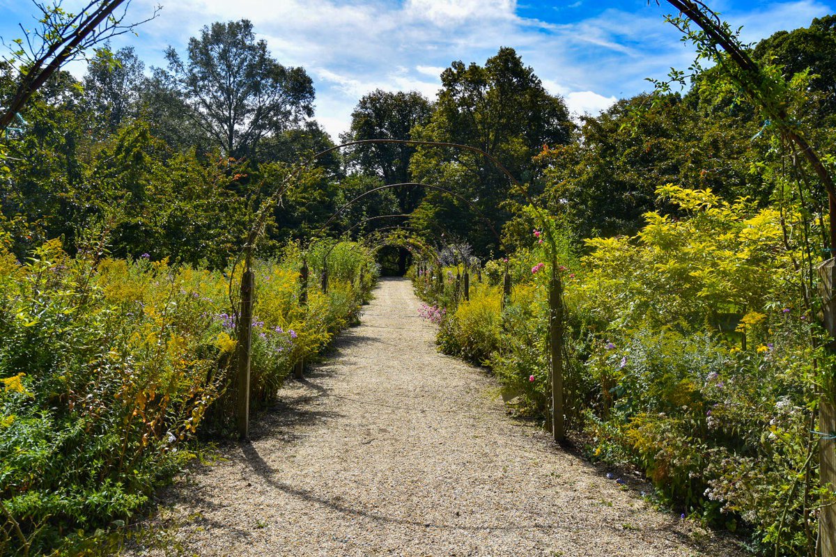 Planting Fields Arboretum, Long Island

#longisland #plantingfieldsarboretum #flowers #photography #blueskies