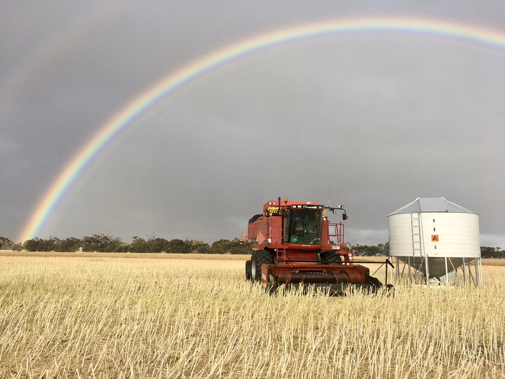 RodPohlner's tweet image. Got going for a bit 🤠