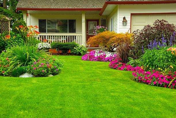 DsldLandMgmt's tweet photo. Call us to get everything from design to building to land management services from our affordable team today at (205) 437-1012. https://t.co/MHSAHao3Sz https://t.co/hJeLvff7fN