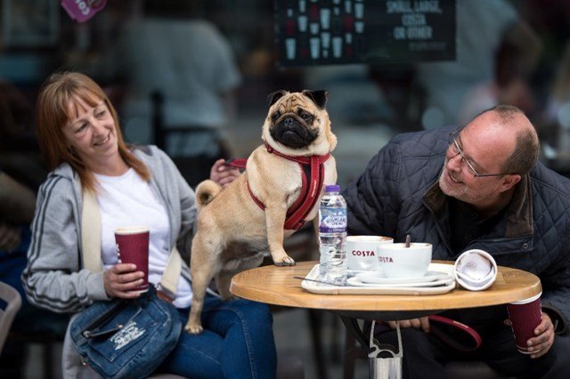 CityCoralGables's tweet photo. The #HumaneSocietyofGreaterMiami and the #ShopsatMerrickPark in #CoralGables, joined forces to raise funds and give #dogs a new chance in life with a #fun #BarkandSip event for #pets and owners.
Click to watch:
https://t.co/f7ImD87RtM https://t.co/Ofyq5zpnVZ