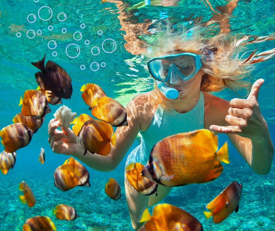 ¡Vive la mejor experiencia haciendo esnórquel y sumérgete en 2 arrecifes de coral, 🐠 pasea en un Catamarán ⛵  y disfruta deliciosas botanas 🥨  y bebidas sin alcohol!

Todas nuestras actividades en nuestro sitio web→bit.ly/2lUpB1P

#Playa #Diversión #MarinaMaroma