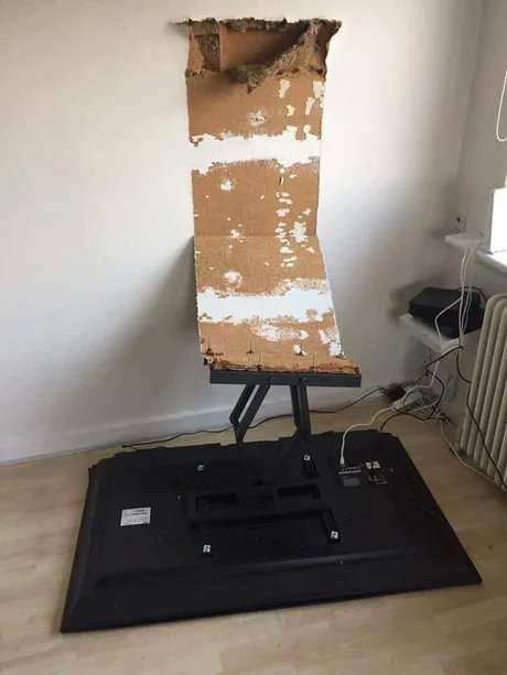 Acu4D's tweet photo. imagine coming home only to see this, what would you do https://t.co/nIccoGN2aa