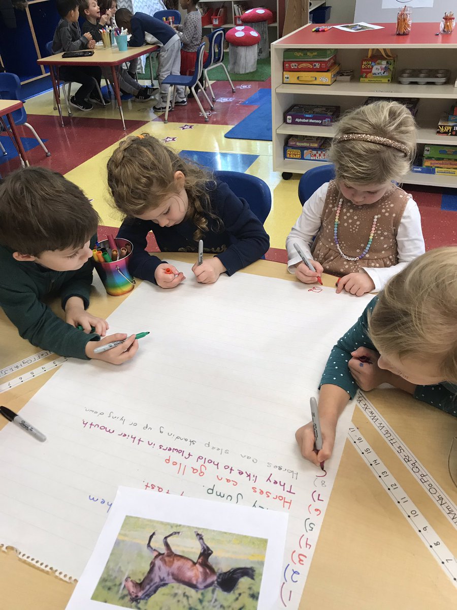 Pre-K Honey Badgers tweet media