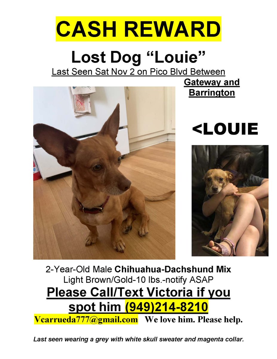 Please keep your eyes open for lost dog Louie, last seen near Pico and Barrington. Thank you!