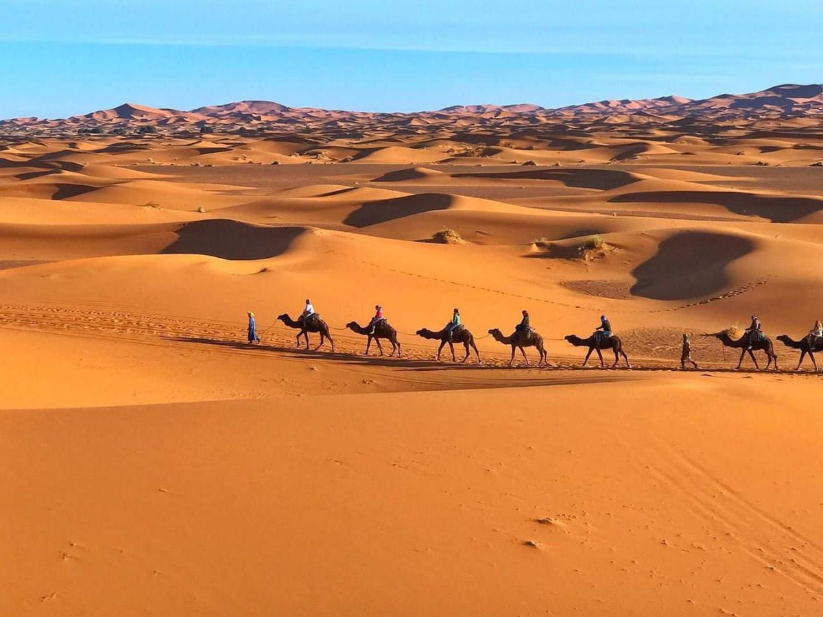 MoroccoGuided's tweet photo. Camel trekking in Merzouga Desert
 Enjoy a  slow and silent discovery  of these Moroccan spaces where the Saharainvites you for   outstanding incursions. From bivouac to bivouac, from tent  to tent, you will be surprised by the strength of the desert. https://t.co/gMTsaJZoRu https://t.co/GD3XCnouBF