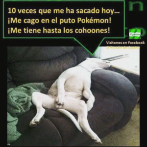 cinacio06's tweet photo. Para terminar el día, algo divertido 🤣 ¿Por qué deberíamos usar imágenes divertidas en nuestra estrategia de #MarketingOnline?
Vete a casa con una sonrisa: 😉 Selección de #ImágenesGraciosas y virales en Internet 👉 https://t.co/D9riBe7qBv
#fotosdivertidas #fotosgraciosas https://t.co/ei401khHUZ