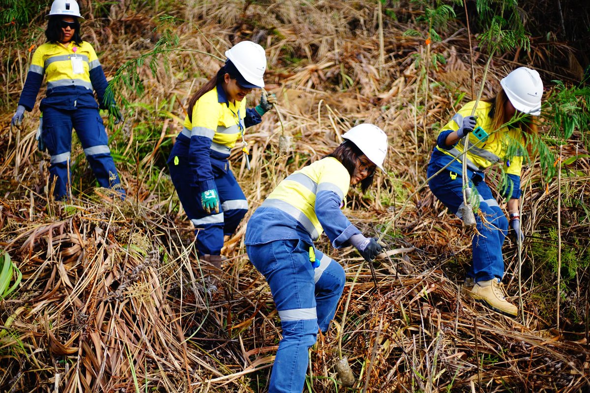 OceanaGold's tweet photo. Progressive rehabilitation & reforestation at our #Didipio Mine - a world class gold mine promoting advancement of responsible mining through innovation, technical excellence, taking care of employees & environment & partnerships with community
#OceanaGold #ResponsibleMining https://t.co/Gm8nYGLM36