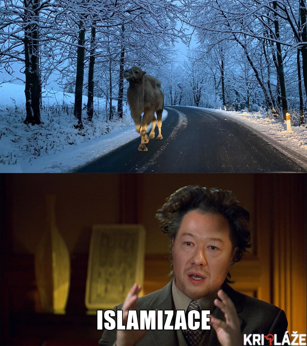 wally_nowak's tweet photo. #Velbloud🐫 v Bedřichově má solidní potenciál na solidní virál! 
🤣🤣
Aneb Islamizace by #Kripláže/FB https://t.co/dr0RpPDP1t