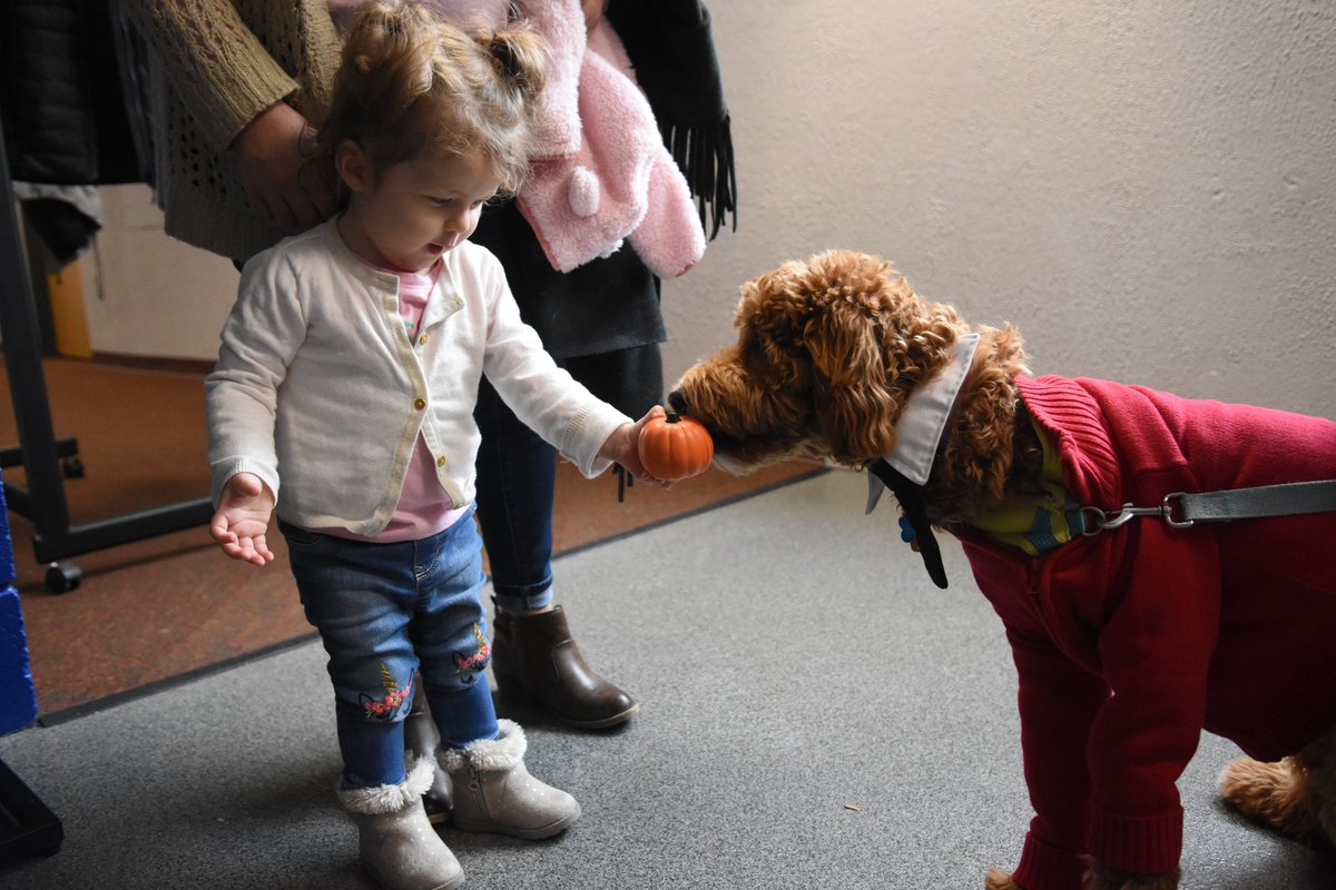 wqed's tweet photo. When a dog named FRED ROGERS walks into the FRED  ROGERS STUDIO... Can only mean one thing... It's #CardiganDay! ❤️ https://t.co/CcKi0aGg4X