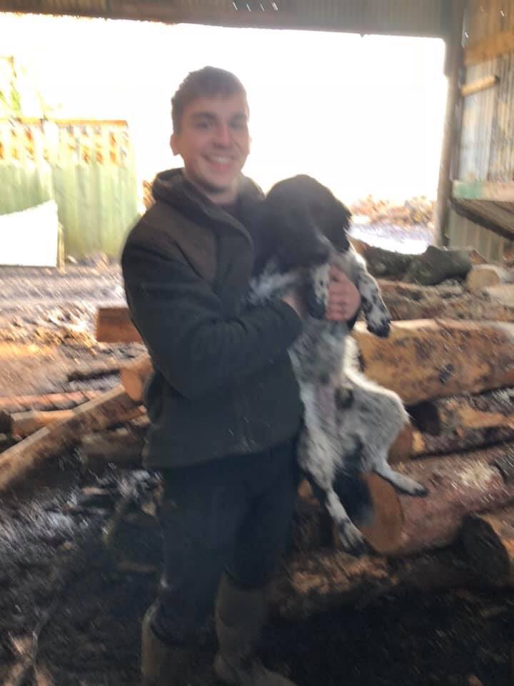#SpanielHour DID U SEE A DOG LIKE CHARLIE AROUND #Monkhopton 11/11/19 #Bridgnorth #Shropshire owners are in bits about post on FB saying spotted, they removed post & deny it, now not replying to msgs😞 LOCALS PLEASE RETWEET & SHARE FB @BridgnorthVoice facebook.com/15529515883269…