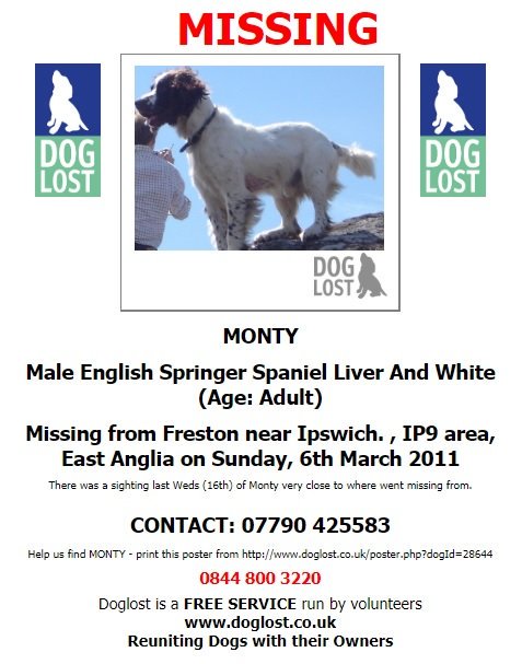 🔥Its Spaniel Hour🔥 The Place Twitter : Happening : NOW #Monty Still missing #Freston #Ipswich #IP9 area #EastAnglia 06/03/2011 @rosieDoc2 @rosiedoc666 @ChrstinaKelly @veryluckypugs @Lorrain90964806 @bs2510 @JanineK79750164 @lornsalexander @LordBiddy @PetsLocated