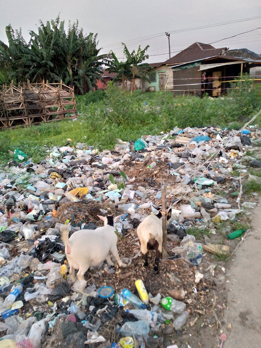 halliday_jnr's tweet photo. My fellow Nigerians
My name is Halliday Chukwuebuka President of Pure Fields Farmers cooperative onne, The picture below is the proposed site for our farmers market.
Please we are seeking for the help of @RecyclePhc or RIWAMA to help us evacuate this dump site 
PLS RT 
Thank you https://t.co/9wHl6oGqPZ
