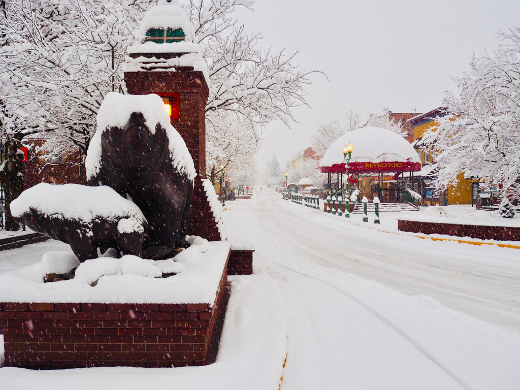 Revelstoke tweet media