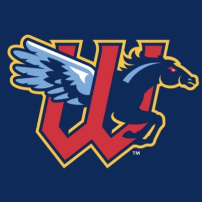 Wichita Wind Surge tweet media