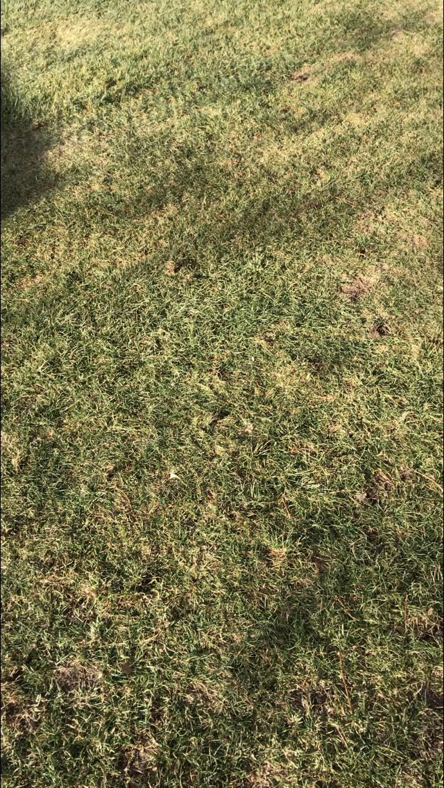 BigHdmc's tweet photo. Hard Compacted Areaβs. First Products Area Vator. 6β knifes slice right through. Driven bye Toro Outcross. #firstproducts #aeravator. @1stproducts @ToroGrounds https://t.co/QHATX9k697