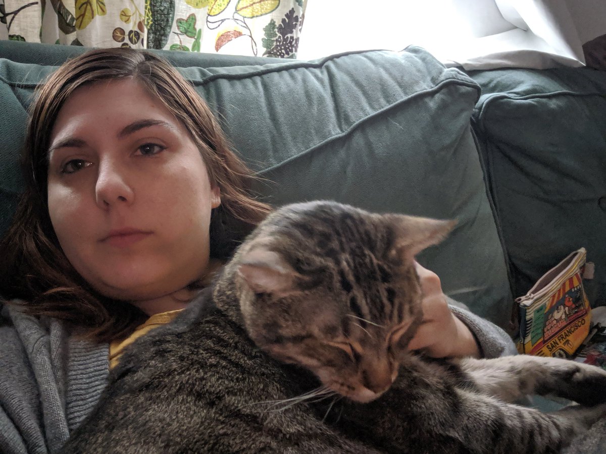 artbycle's tweet photo. My cat fashion is becoming a reality. https://t.co/5ICzuvzm5I