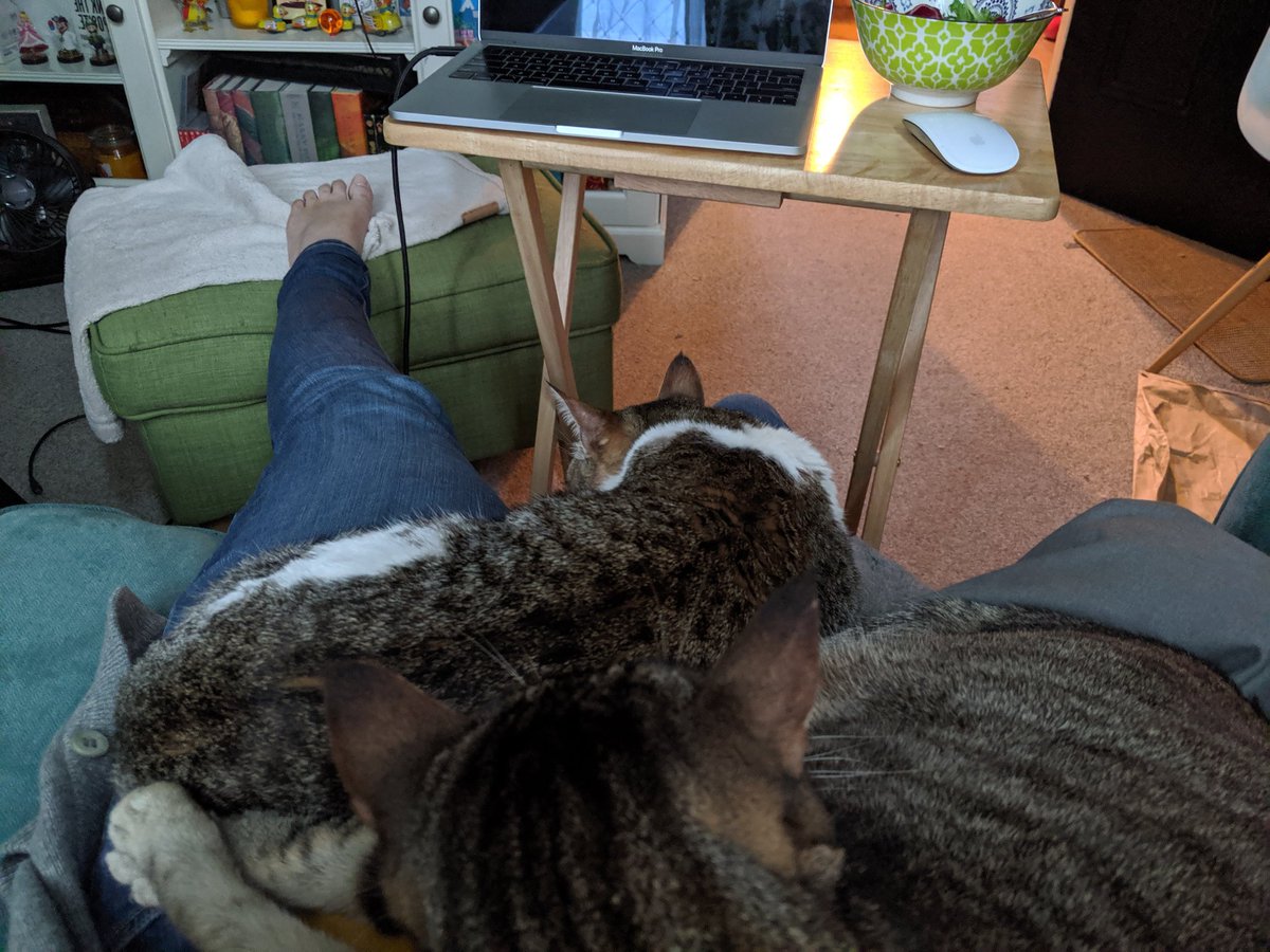artbycle's tweet photo. My cat fashion is becoming a reality. https://t.co/5ICzuvzm5I