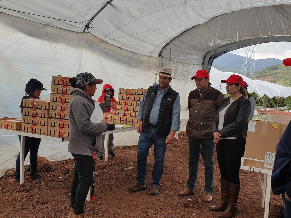 GriselValenciaS's tweet photo. Titulares del @SNEOaxaca @SNE_MICHOACAN @SNEHidalgo  @SNEJalisco @SNEPueblaOfi visitamos los campos de cultivo 
de la empresa #BerryMex en Jalisco, para conocer las condiciones laborales que ofrecen a jornaleros agrícolas del sureste del país. https://t.co/QTwAb3rLOi