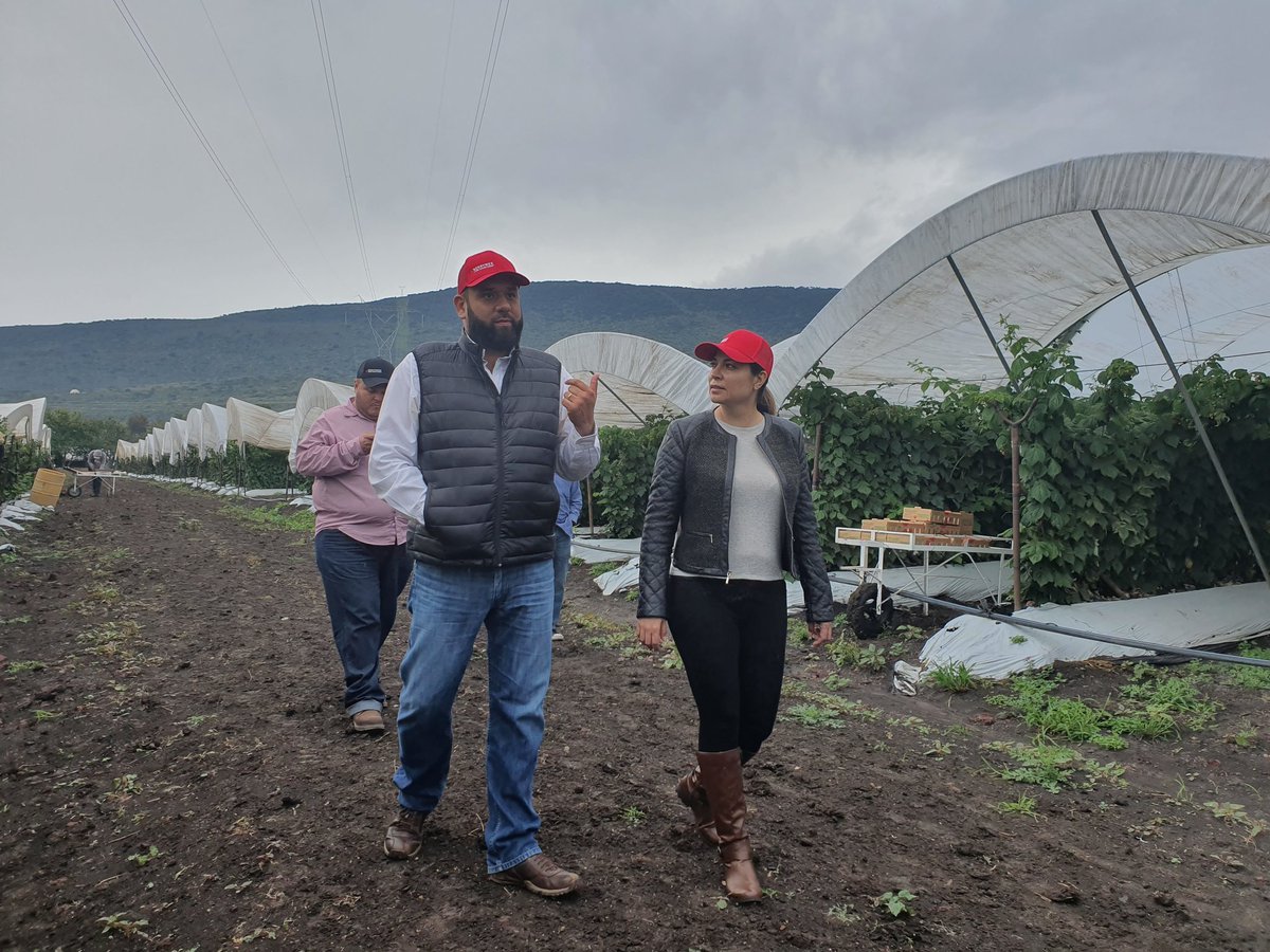 GriselValenciaS's tweet photo. Titulares del @SNEOaxaca @SNE_MICHOACAN @SNEHidalgo  @SNEJalisco @SNEPueblaOfi visitamos los campos de cultivo 
de la empresa #BerryMex en Jalisco, para conocer las condiciones laborales que ofrecen a jornaleros agrícolas del sureste del país. https://t.co/QTwAb3rLOi