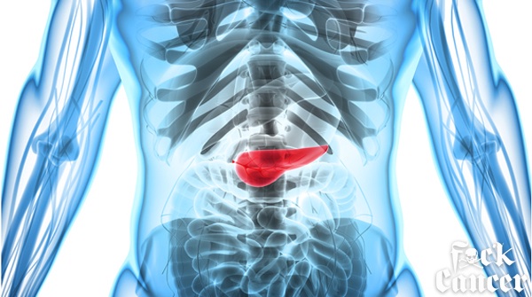 November is #PancreaticCancerAwareness month and #FxckCancer will be sharing info on risk factors, symptoms, and treatments to keep you aware and educated. Visit our blog to learn more👉bit.ly/FxckCancerBlog #CancerAwareness #TogetherWeFight #FuckCancer